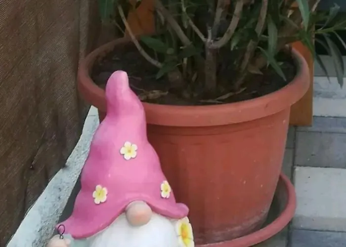 Flower 4 Free Parking